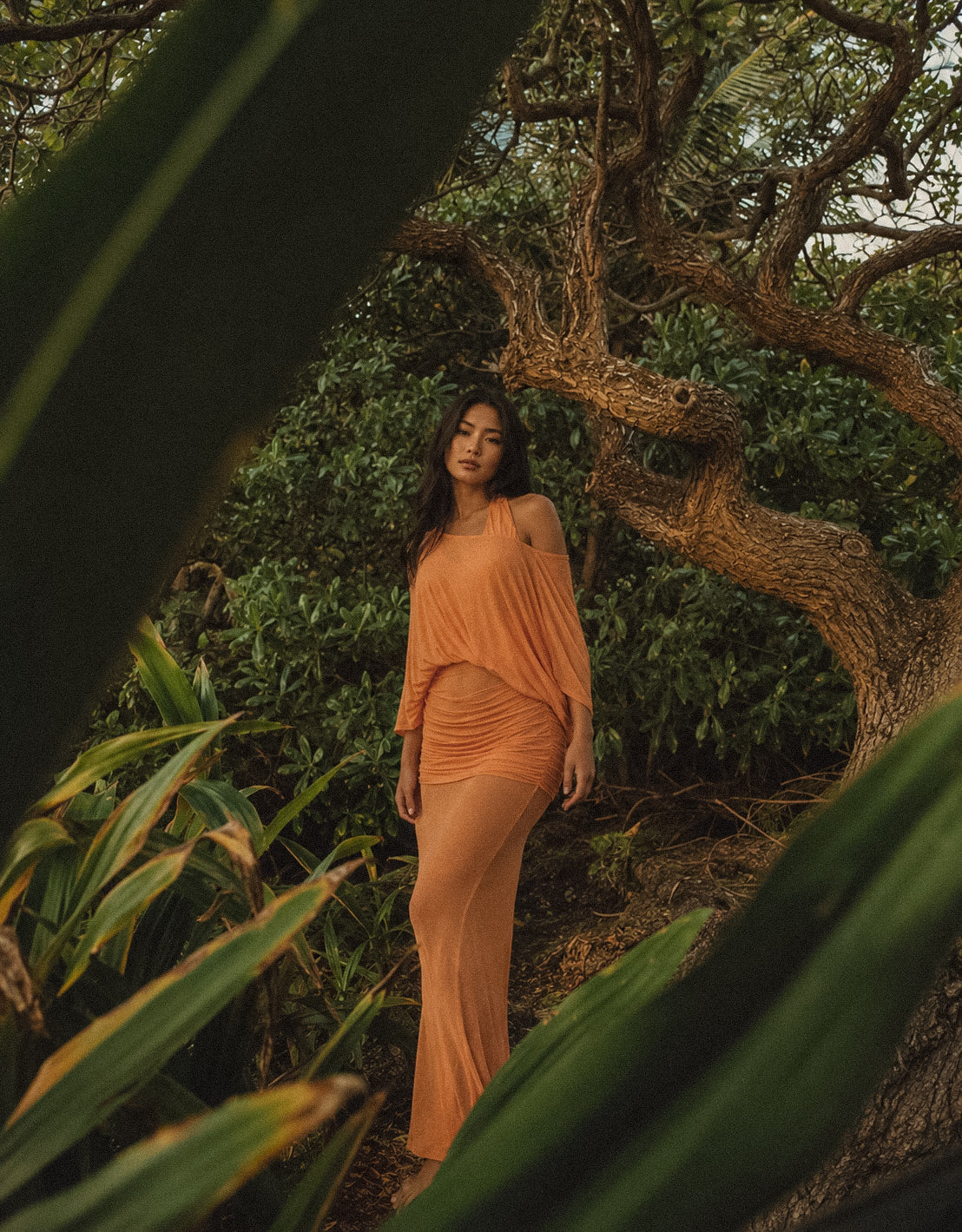 Calista Dress